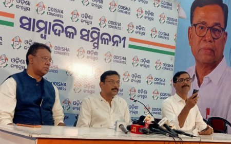 ଦୁର୍ନୀଗ୍ରସ୍ତଙ୍କୁ ଆପଣାଇ ଜାତୀୟ ସମ୍ପତ୍ତି ହରଣଚାଳ କରିବା ବିଜେପିର ମୁଖ୍ୟ ଉଦ୍ଦେଶ୍ୟ