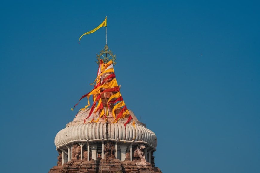 ଶ୍ରୀଜଗନ୍ନାଥ ମହାପ୍ରଭୁଙ୍କ ଜମି ମାମଲାରେ ସଦସ୍ୟ, ରାଜସ୍ୱ ପର୍ଷଦଙ୍କ ନ୍ୟାୟାଳୟର ଗୁରୁତ୍ବପୂର୍ଣ୍ଣ  ରାୟ...