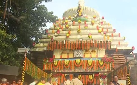 ଭାଇ ଭାଇରେ କଳି ଯୋଗୁଁ ଲିଙ୍ଗରାଜଙ୍କ ନୀତିକାନ୍ତି ବନ୍ଦ...