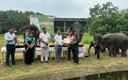 ହାତୀ ସଂରକ୍ଷଣ ଓ କଲ୍ୟାଣର ବାର୍ତ୍ତା ନେଇ ନନ୍ଦନକାନନରେ ବିଶ୍ୱ ହାତୀ ଦିବସ ୨୦୨୬ ପାଳିତ...