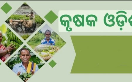 ଖରିଫ ଋତୁ ଧାନ ସଂଗ୍ରହ ନିମନ୍ତେ ଚାଷୀ ପଞ୍ଜିକରଣ ଜାରି...