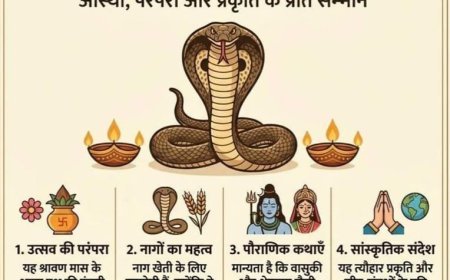 ନାଗ ପଞ୍ଚମୀ ପାଳନର ମହତ୍ତ୍ୱ କଣ ରହିଛି...