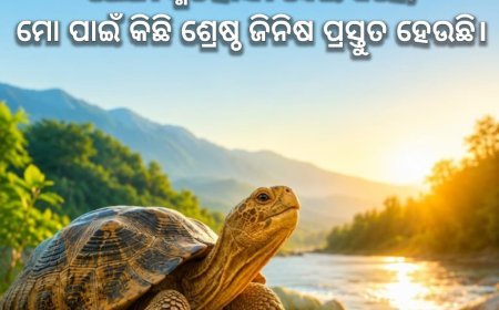 ପ୍ରକୃତିରେ ପ୍ରତ୍ୟେକ ଜିନିଷର ନିଜସ୍ୱ ସମୟ ଥାଏ।