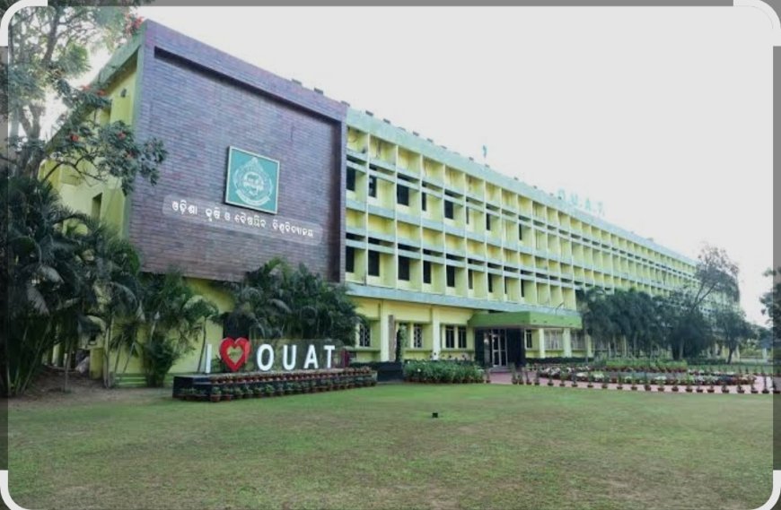 ଓଡ଼ିଶା ସରକାରଙ୍କ ଓୟୁଏଟି ପିଜି ଓ ପିଏଚ୍.ଡି ଛାତ୍ରଛାତ୍ରୀଙ୍କ ପାଇଁ ଷ୍ଟାଇପେଣ୍ଡ ବୃଦ୍ଧି  ଘୋଷଣା...