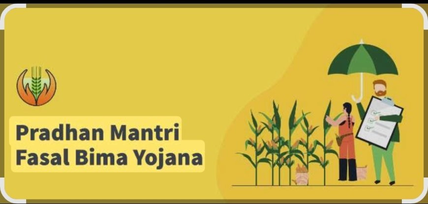 ପ୍ରଧାନମନ୍ତ୍ରୀ ଫସଲ ବୀମା ପଞ୍ଜିକରଣ ପ୍ରକ୍ରିୟାର ସରଳୀକରଣ କୁ ଗୁରୁତୁ