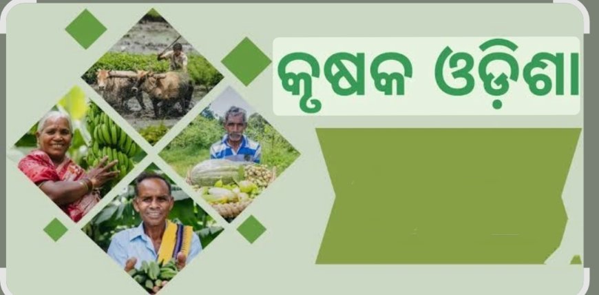 ଖରିଫ ଋତୁ ଧାନ ସଂଗ୍ରହ ନିମନ୍ତେ ଚାଷୀ ପଞ୍ଜିକରଣ ଜାରି...