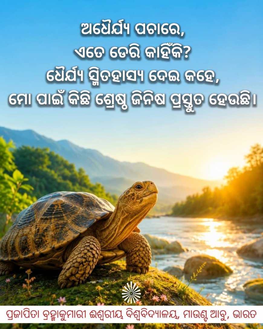 ପ୍ରକୃତିରେ ପ୍ରତ୍ୟେକ ଜିନିଷର ନିଜସ୍ୱ ସମୟ ଥାଏ।