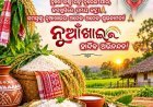 ପଶ୍ଚିମ ଓଡିଶାର ଜିଲ୍ଲାମାନଙ୍କ ଗାଁ ଭିତରେ ନୂଆଖାଇର ଧୂମଧାମ ବ୍ୟବସ୍ଥା...