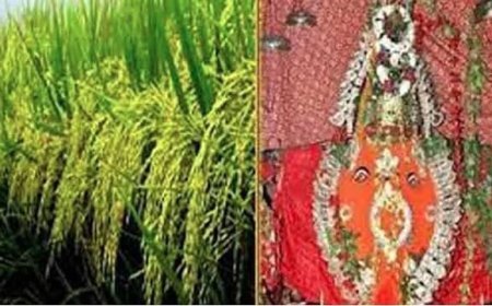 ନୂଆଖାଇ ଲଗ୍ନ  :