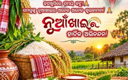 ପଶ୍ଚିମ ଓଡିଶାର ଜିଲ୍ଲାମାନଙ୍କ ଗାଁ ଭିତରେ ନୂଆଖାଇର ଧୂମଧାମ ବ୍ୟବସ୍ଥା...