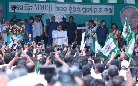 ଏମଏମଡିଆରକୁ ବିରୋଧ କରି ଲୋୟର ପିଏମ୍ଜିରେ ବିଜେଡିର ବିଶାଳ ବିକ୍ଷୋଭ...
