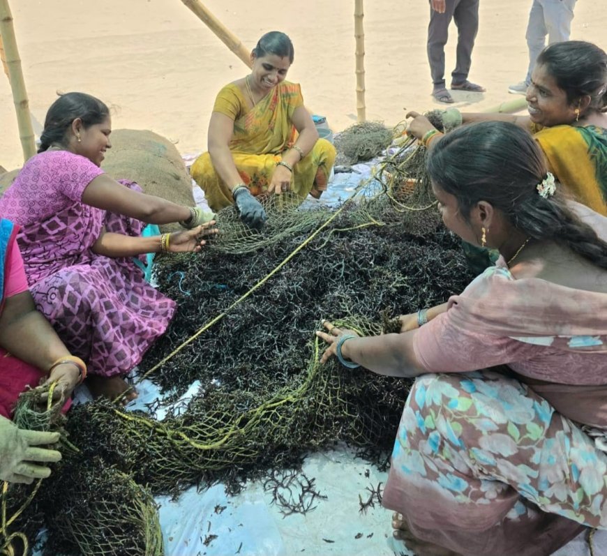 କରୈକଲ୍‌ର ମହିଳା ମତ୍ସ୍ୟଜୀବୀଙ୍କୁ ସ୍ୱାବଲମ୍ବୀ କରିଛି  ସାମୁଦ୍ରିକ ଶୈବାଳ ଚାଷ...