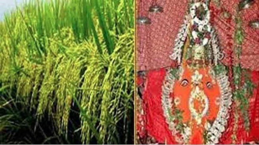 ନୂଆଖାଇ ଲଗ୍ନ  :