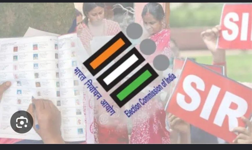 SIR ନୋଟିସ କାହାକୁ ଛାଡି ଦେବ ନାହିଁ..
