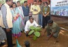 ଆଇଆଇଏମ୍‌ସିରେ ‘ସ୍ୱଚ୍ଛତା ହିଁ ସେବା’ କାର୍ଯ୍ୟକ୍ରମରେ ଅଂଶଗ୍ରହଣ କଲେ କେନ୍ଦ୍ର ରାଷ୍ଟ୍ରମନ୍ତ୍ରୀ ଡକ୍ଟର ଏଲ୍‌. ମୁରୁଗନ...