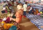 ହବିଷ୍ୟାଳିଙ୍କ ପାଇଁ online ଦରଖାସ୍ତ ଅକ୍ଟୋବର ୨୪ ରୁ ଆରମ୍ଭ...