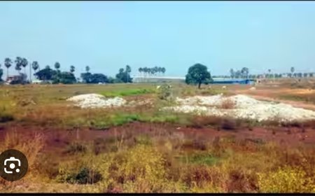 ଶ୍ରୀ ଜଗନ୍ନାଥ ମହାପ୍ରଭୁଙ୍କ ଅମୃତ ମଣୋହି ଜମି ହଡ଼ପ ଘଟଣା...