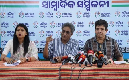 ରାହୁଳ ଗାନ୍ଧୀଙ୍କ ଅର୍ଥନୈତିକ ଭବିଷ୍ୟତବାଣୀ, ଜୟଶଙ୍କର ଦୋହରାଇଲେ...