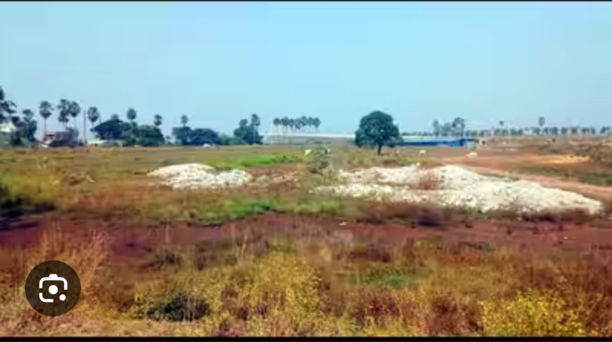 ଶ୍ରୀ ଜଗନ୍ନାଥ ମହାପ୍ରଭୁଙ୍କ ଅମୃତ ମଣୋହି ଜମି ହଡ଼ପ ଘଟଣା...