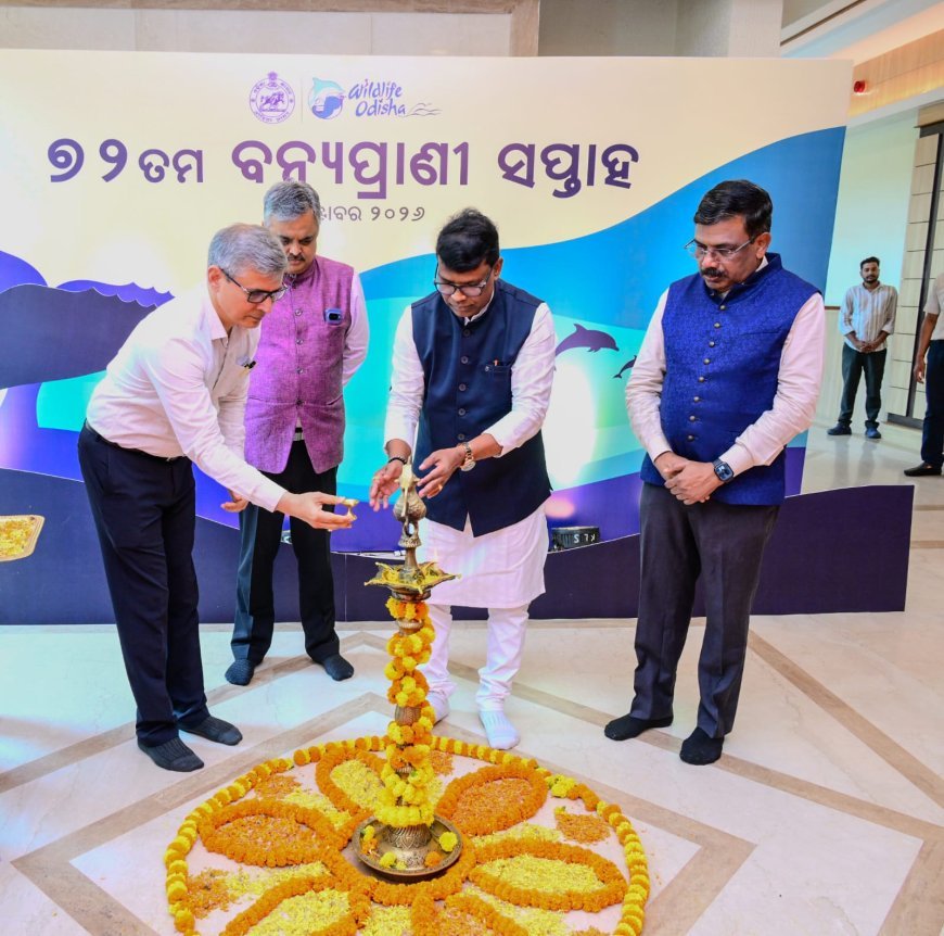 ବିଭିନ୍ନ ସଂରକ୍ଷଣ ପଦକ୍ଷେପ, ଗବେଷଣା, ପ୍ରକାଶନୀ ଓ ଇକୋ-ଟୁରିଜମ୍ ପ୍ରକଳ୍ପ ସହ ଓଡ଼ିଶାରେ ରାଜ୍ୟସ୍ତରୀୟ ବନ୍ୟପ୍ରାଣୀ ସପ୍ତାହ ପାଳିତ...